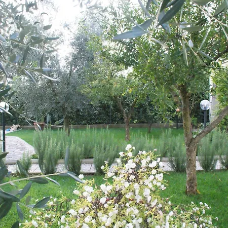 Degli Ulivi Fiano Romano