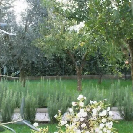 Nocleg ze śniadaniem Degli Ulivi 4*