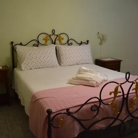 Degli Ulivi